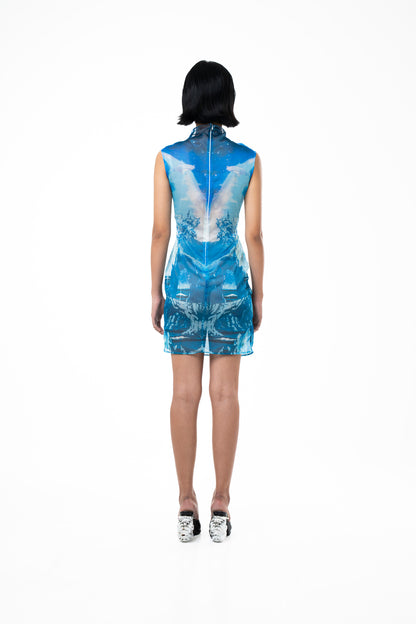 'Neptune' Short Mesh Dress